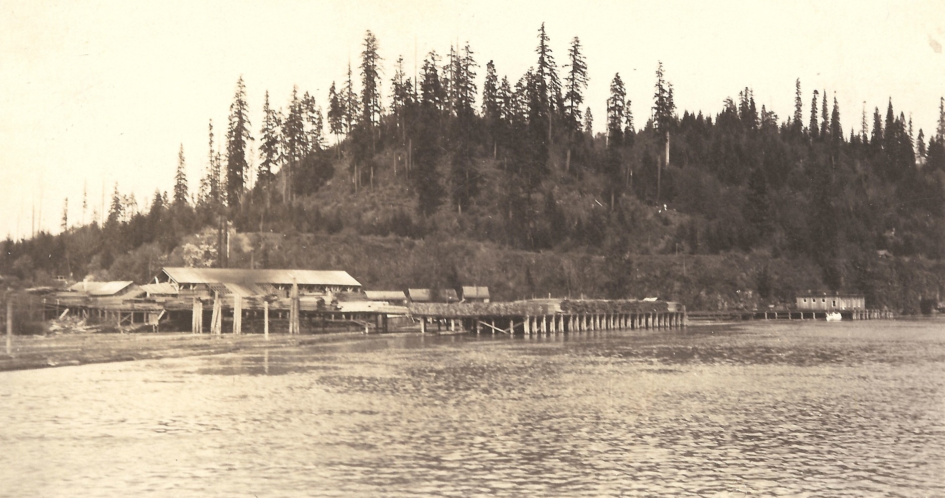 Oak Point Piling & Lumber Company